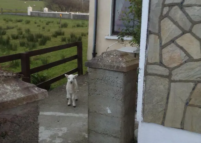 Sea View Westport Co Mayo Appartamento *